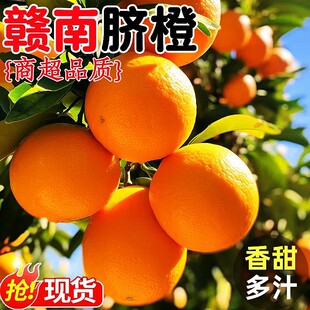 Ě���M�Ͻ����M�����rˮ��10�ﮔ������������ڼ~�ɠ���Ʒ�����