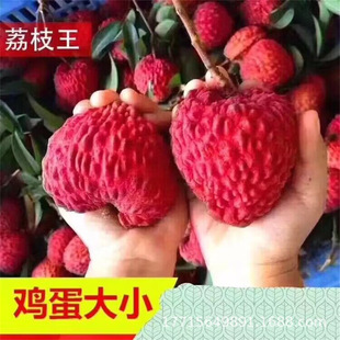 ��֦������Ц��ζŴ���ٰ������o����֦�����^���G�u����޽ӹ���
