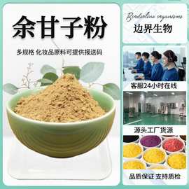 余甘子提取物 余甘子粉 余甘子浓缩粉 水溶余甘子粉  现货批发