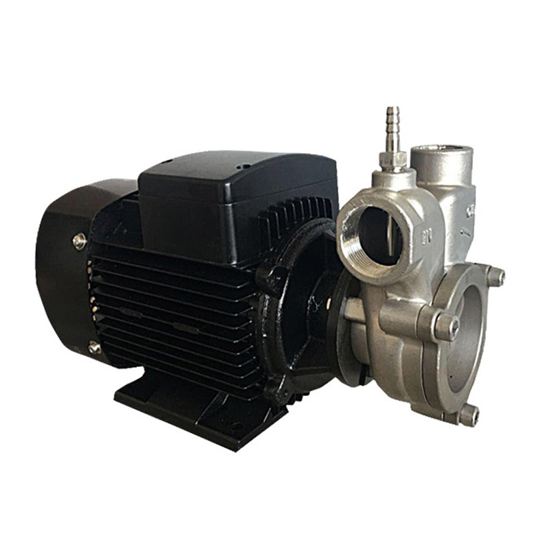 气液混合泵不锈钢自吸式单相气浮装置配套气液混合泵溶气泵涡流泵