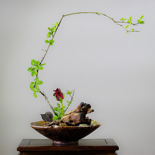 ���Ҳ廨���մɻ���͹�ˮ���|����ɽ�廨��������ʽ�U�⌑�����P