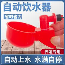 �B�u�Ԅ�ιˮ���r��ʳ��С�u��ˮ�ˮι�u�B�����ˮ�Ԅ�ιˮ�Bֳ