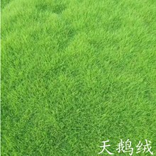 ��ƺ�����ļ����༚�~���Z�q��ܛ�ͺ����^��ƺ�N��ͥԺ�G�����ѷN