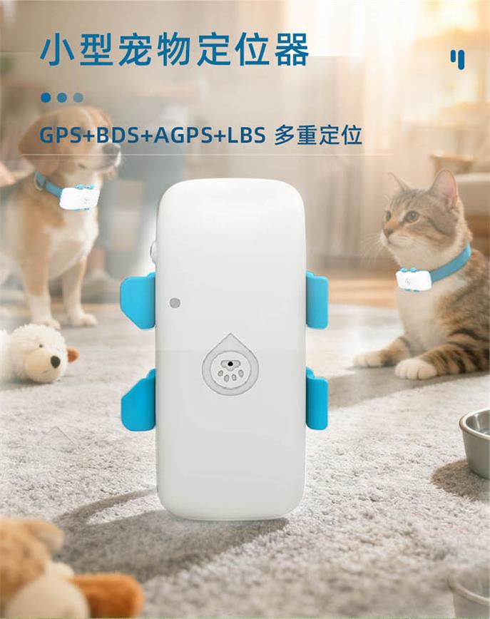 C032---修改详情---20241130_01