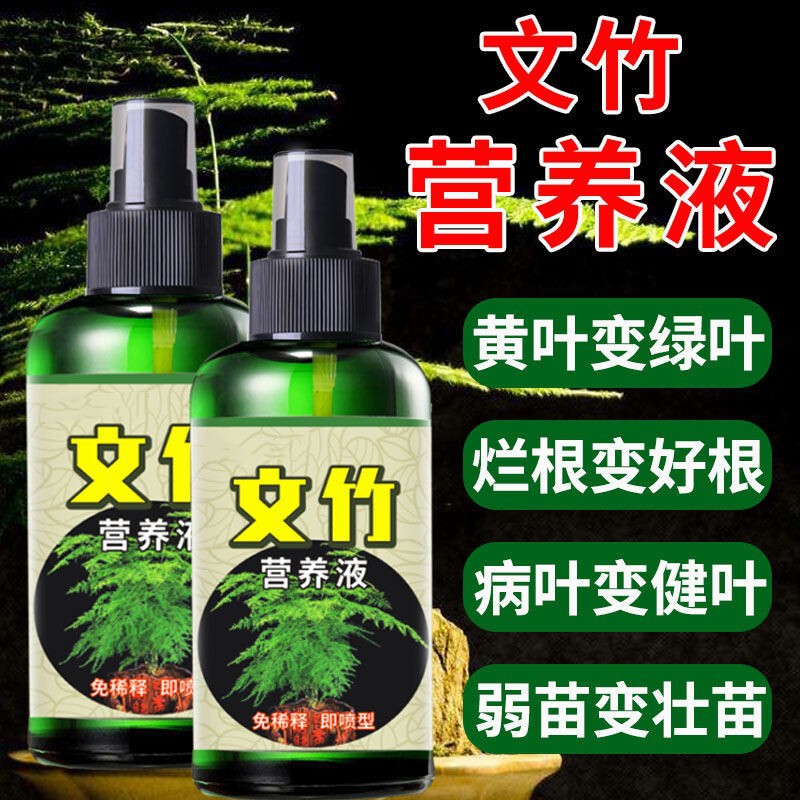 [What to Do if the Leaves Turn Yellow] Special Nutrient Solution for Asparagus Fern. the Roots Rot and the Branches and Leaves Turn Yellow and Fall Off. Spray Green Fertilizer