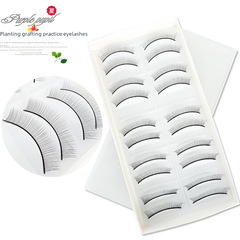 嫁接假睫毛 學員練習假睫毛 平弧十對裝 模特頭睫毛 培訓廠家批發