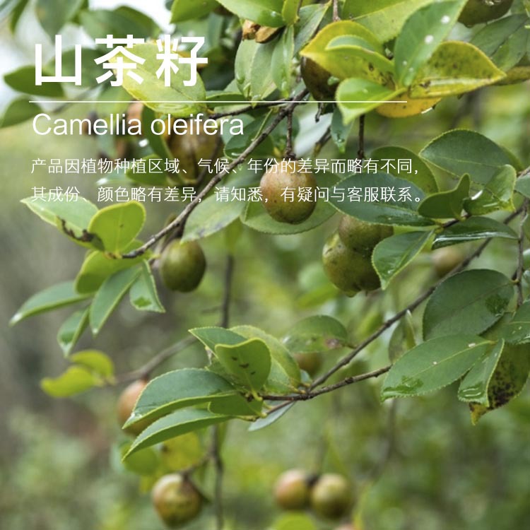 ���ҹ�Ӧɽ������ ��ѹ��եɽ���� ����ѹե�� ������ԭ������