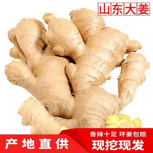 ɽ�|���r�����Ͻ��F؛�Ȱl���]���ӽ��L�ɽ����|���r���x��