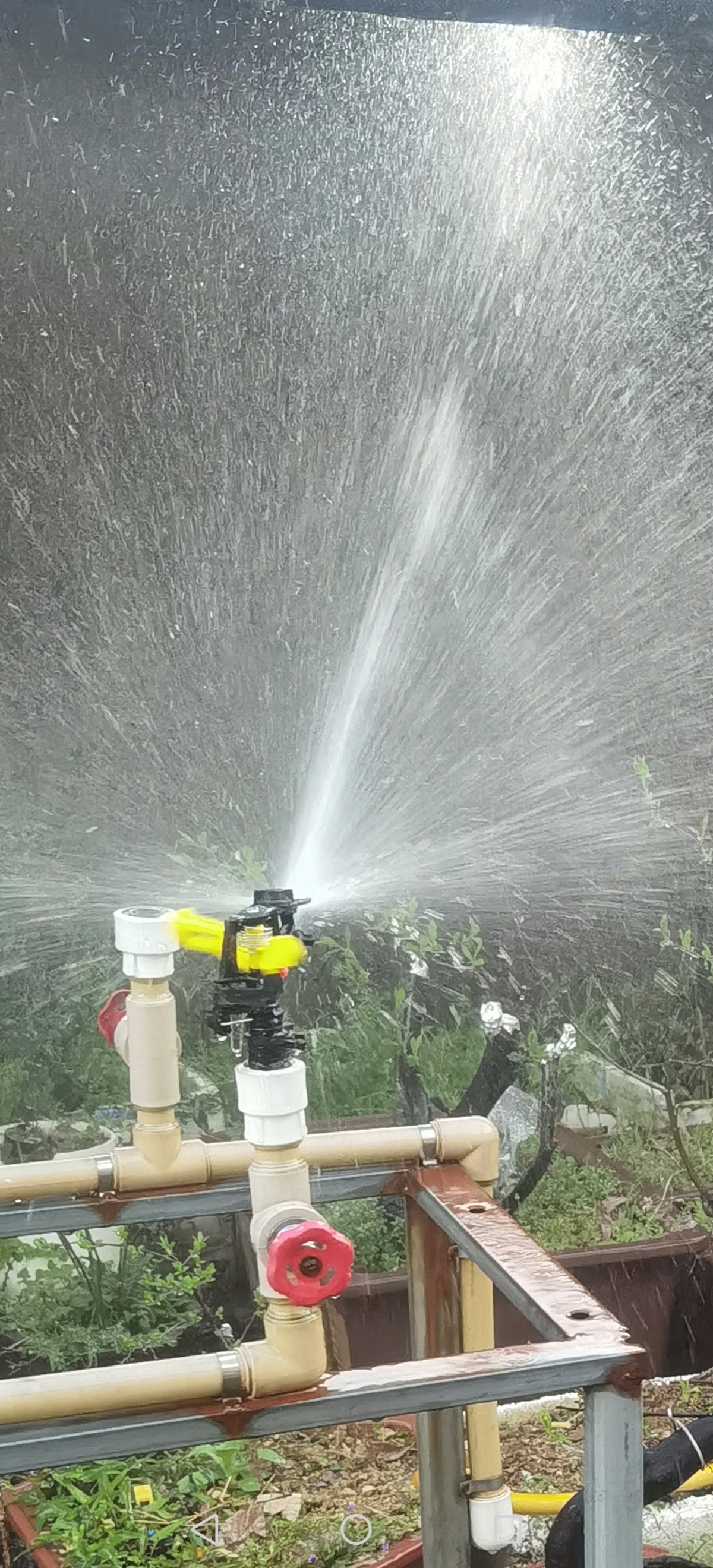 产品照片Screenshot_20250403_172554