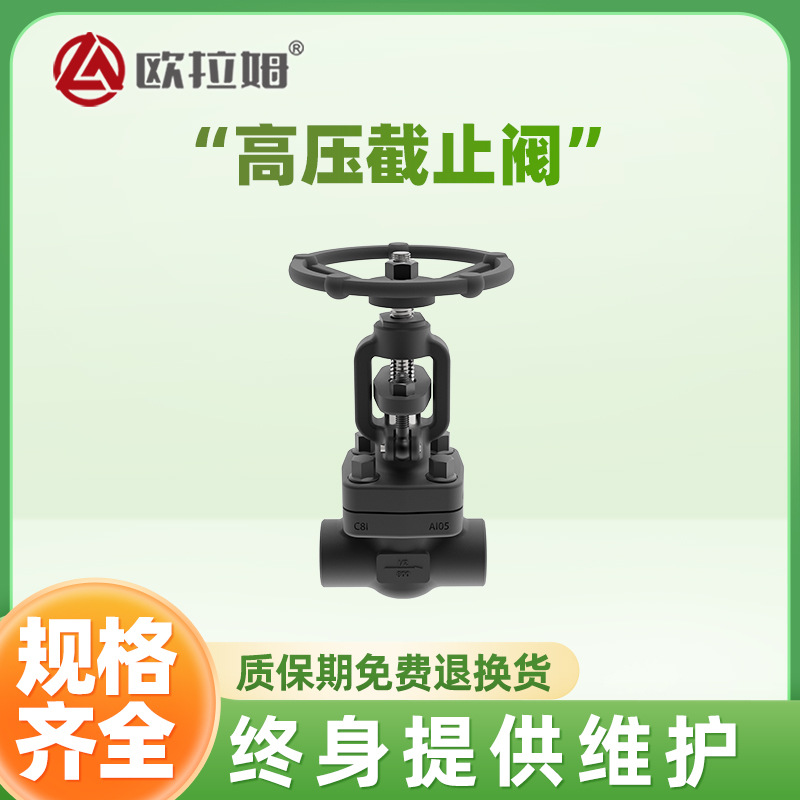 小口径高压截止阀 1/2寸口径 J61H型号 材质A105 品类齐全 欧拉姆