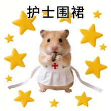 妙迪宠物服饰仓鼠护士围裙装扮小宠用品金丝熊荷兰猪花枝鼠服饰