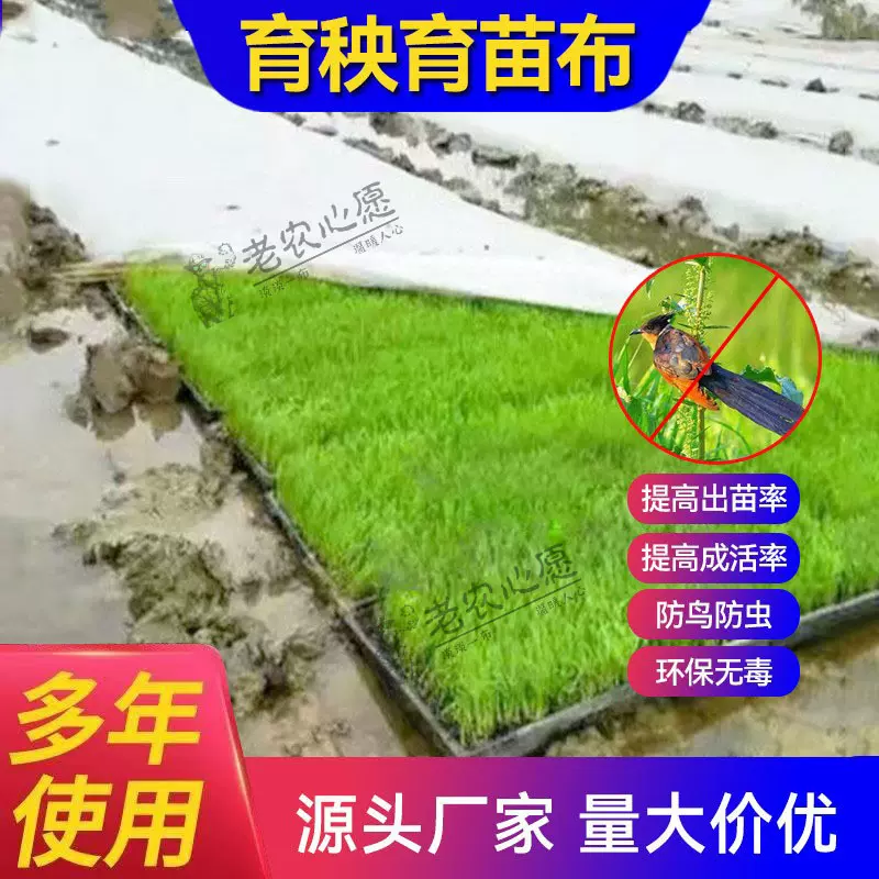 秧苗无纺布果蔬育苗水稻秧盘农用白色透气保湿秧苗无纺布厂家批发