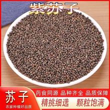 紫苏籽 苏子新货紫苏子 食用熟苏子籽 生苏子籽可榨油 包邮