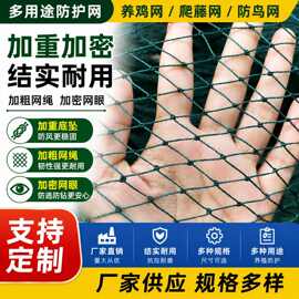 鸡网果园果树鱼塘防鸟网养鸡网尼龙家禽养殖网拦爬藤网菜园围栏网