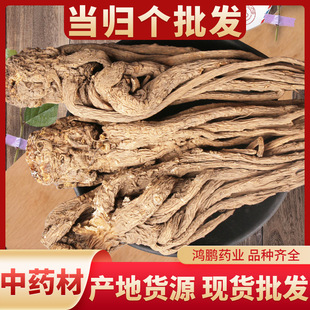 ���l���w��ș��500�� ���Cếh���w ���� ��l���wƬ ����ă�