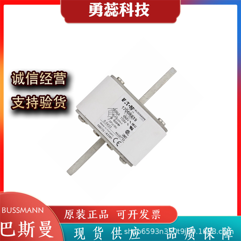 保险丝熔断器      170M6618     170M6619     170M6620