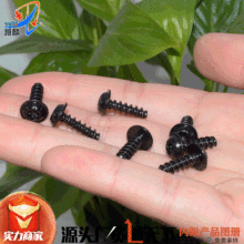 �m��5ϵ5ϵ6ϵ7ϵX6X6Z4����MINIǰ���β��ǰ��܇�T�i�������ݽz