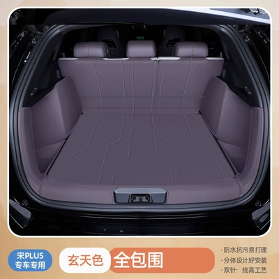 2026 BYD Song Plus Trunk Mat