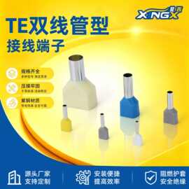 TE双线管型预绝缘端子针型线鼻子插针欧式冷压接线端头0508/7510