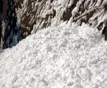 ɽ�|���� �V����ĭ������軯��