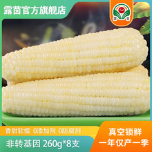 ���������]��¶������Ŵ�����r�ճ���׷ǖ|����Ŵ�����װ�����b