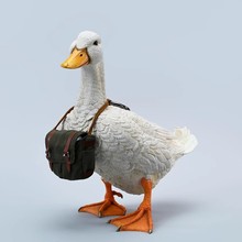 JXK1/1��������������ģ�Ϳɐۿ�ͨ�����������k������֬�[��