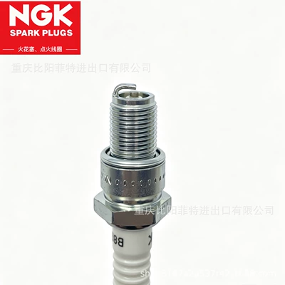 Alışdırma şamı (Sveçalar) plug is suitable for