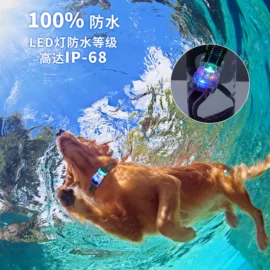 训练用品;宠物周边用品;宠物项圈