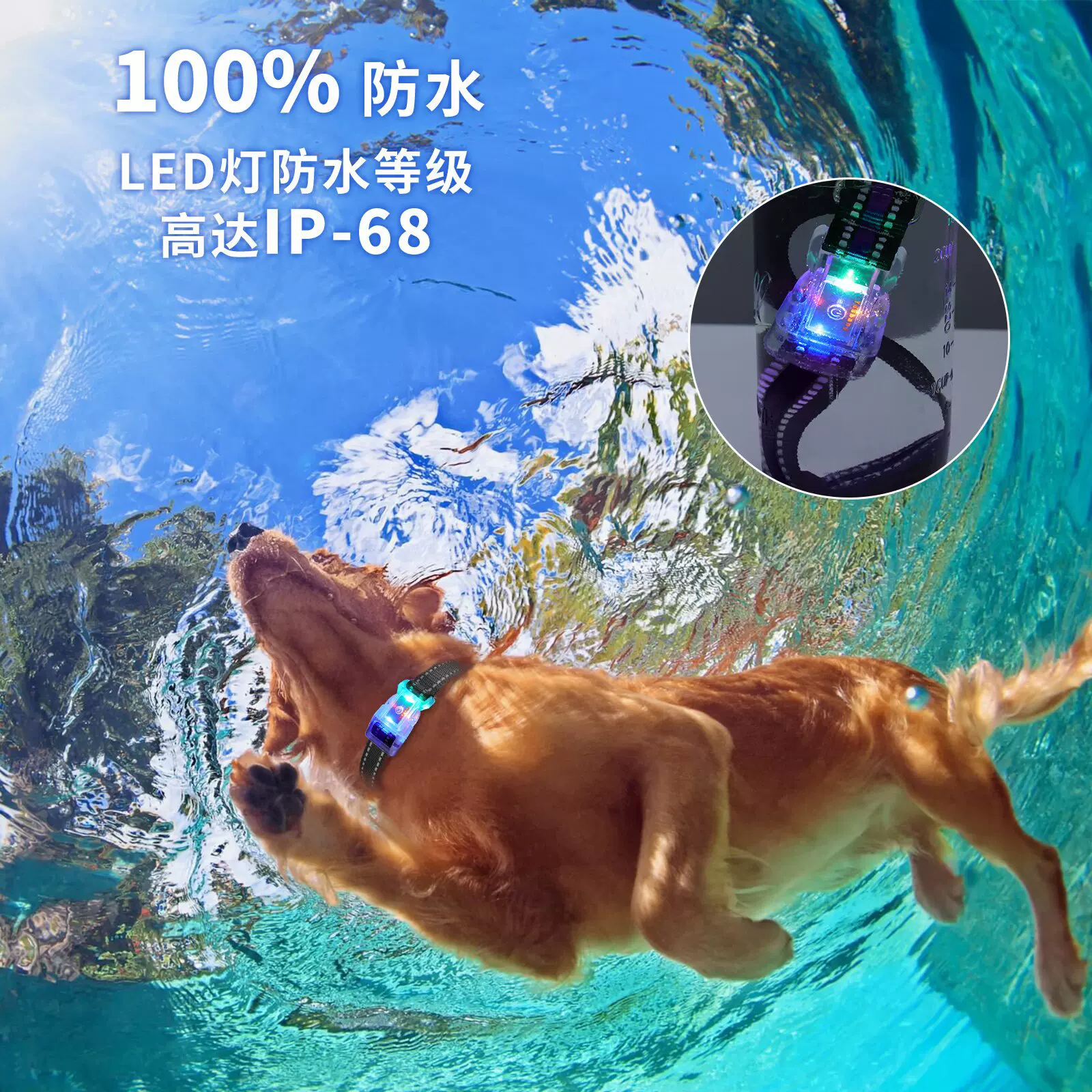 宠物防走失夜间出行猫咪狗狗通用LED防水充电款多色可选发光项圈