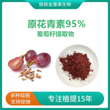 葡萄籽提取物 葡萄籽原花青素95%OPC 葡萄籽粉Grape Seed Extract