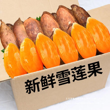 ��ɽѩɏ�����rˮ�����𮔼�����ЋD�t��ѩ�B���S����ζ�������]