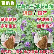 MڶϻޣݷNͺļ߮aBţuZ~ݷN