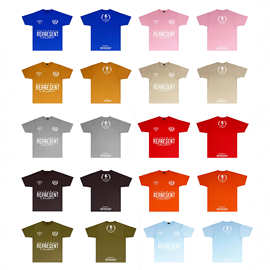 贸易REPRESENT新款复古百灵鸟印花宽松美式潮牌休闲短袖T恤男女款