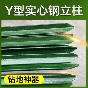 ���Pţ�ھW Y�ͼ��^���Ӻ������F؛ �����F���������F�z�W���ڗU