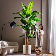 ����Gֲ�������˽��߶��p�ݿ͏d����������ؔ[���쾰��ֲ�����l