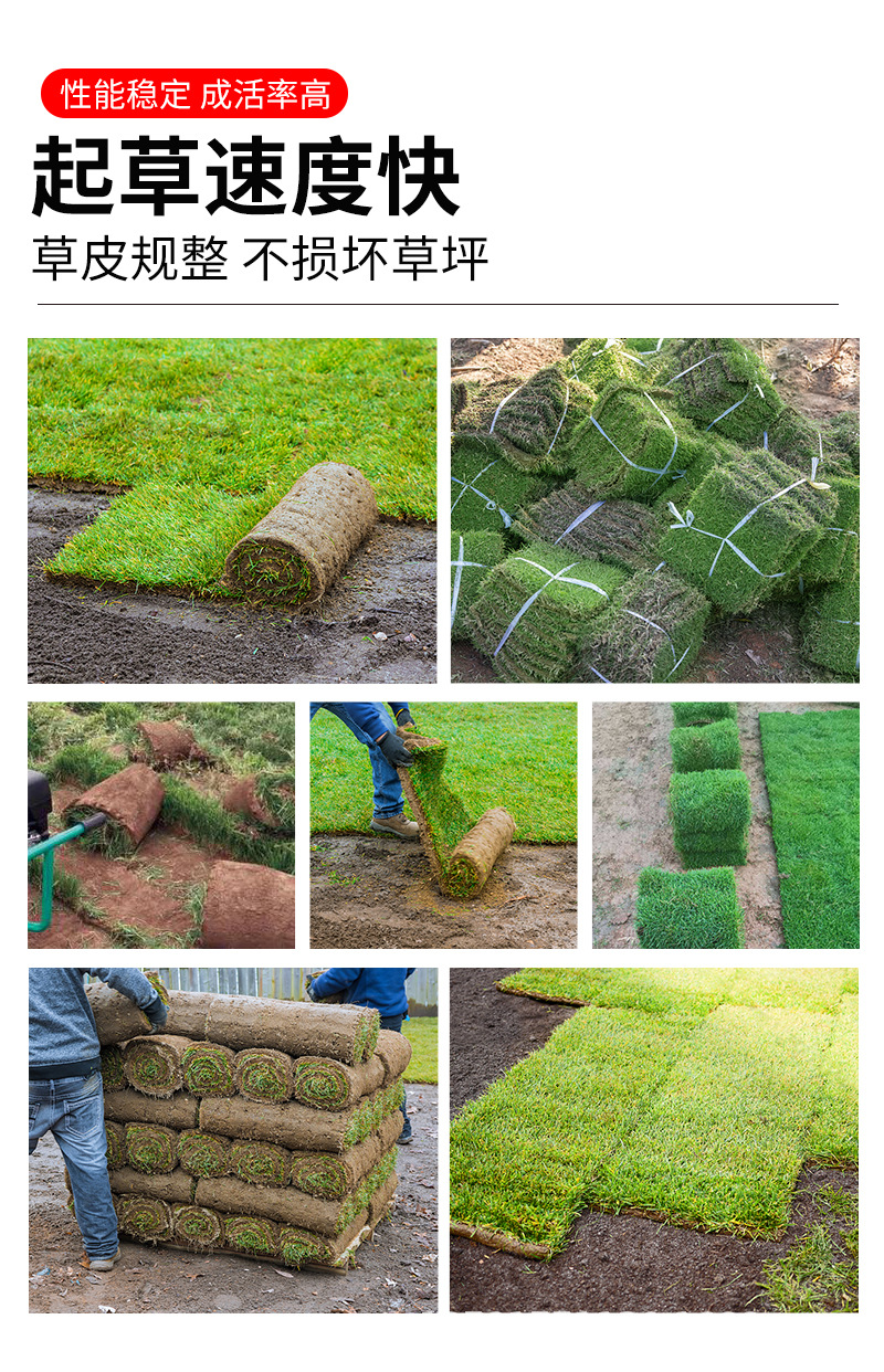 起草皮机_06