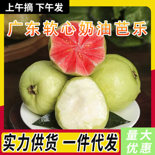 �F؛�ٰl������V�|ܛ�����ͰŘ����r�Fժˮ������t�ķ�ʯ����