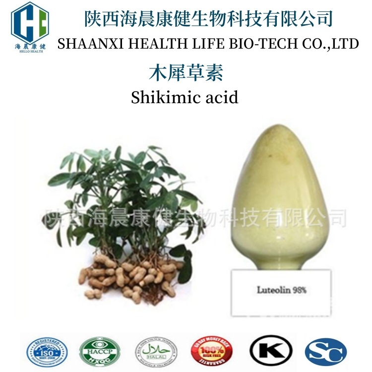 木犀草素98% 花生壳提取物 Luteolin 491-70-3 海晨康健 黄色黄素