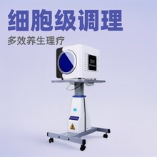 正品太赫兹小太阳细胞热疗仪能量灸疗仪小钢炮光波养生理疗仪新款