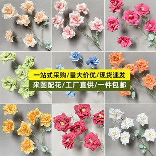 6�^�¼���c���滨��֦õ���Y��·�������bҾӔzӰ�ٻ����Q