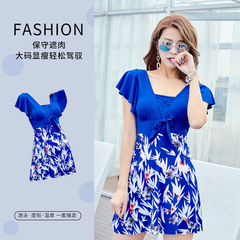 Ladies' Plus Size Conservative Slimming Skirt Style One-piece Swimsuit for Hot Springs, Factory Wholesale