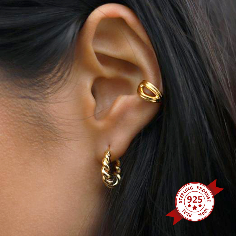 S925 Silver Needle Earrings Twisted Circle Earrings Wholesale display picture 4