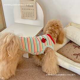 宠物衣服弹力棉吊带薄款背心泰迪比熊博美猫咪小狗狗衣服休闲春夏