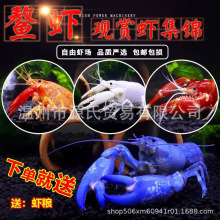 ���Q������{ħ���r��ɽ�Ɖ������r�����r��ˮ�r�^�p�r���r��}�u