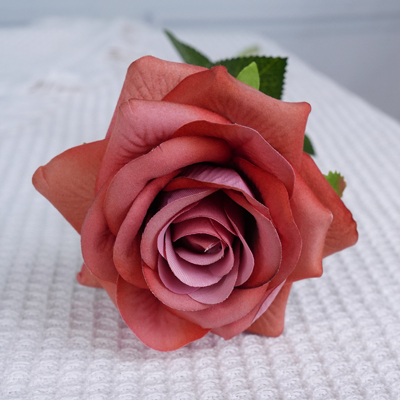 Findara rose khaki