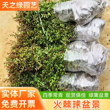 ��������辰���܈@�־G������t�������� �����辰�h�ʘ���