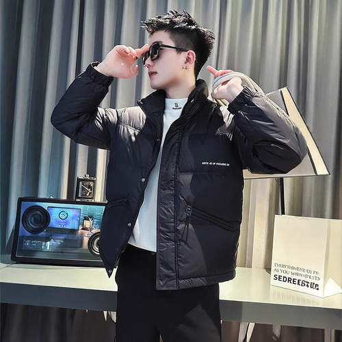 Winter streetwear down jacket for men, casual cool stand-up collar, thick short-sleeve top, 2024 new men's cotton-padded coat.
