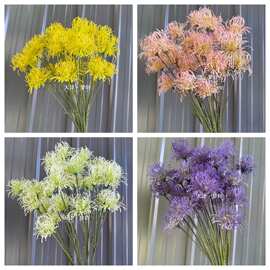 仿真针垫花仿真帝王花塑料假花 仿真植物造景婚庆插花客装饰摆件