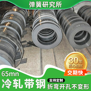 65MN��܈��� �˻�ȫܛ��܈���Ɏ��䓎� 65MN��̎��Ӳ�B䓎�