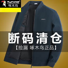��ľ�����������д���2025�¿�����ְ�װʱ�аٴ��������¼п���
